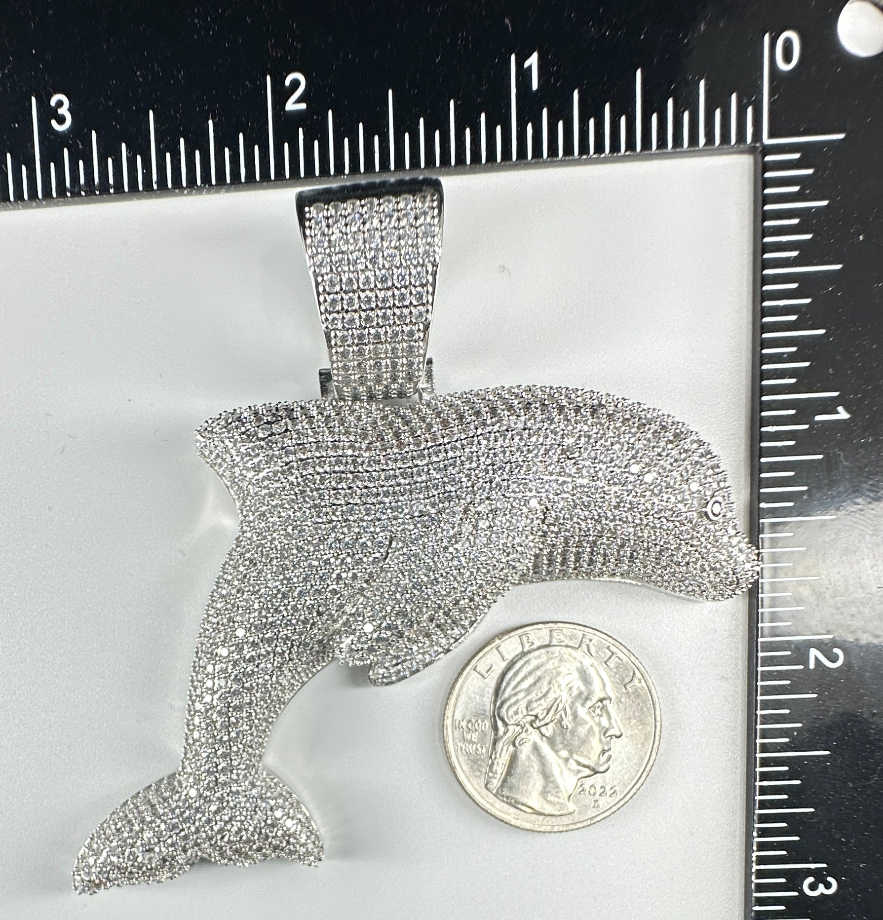 3D Dolphin